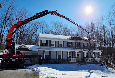 Tree Service Case Studies Fredericksburg VA | Real Job Examples