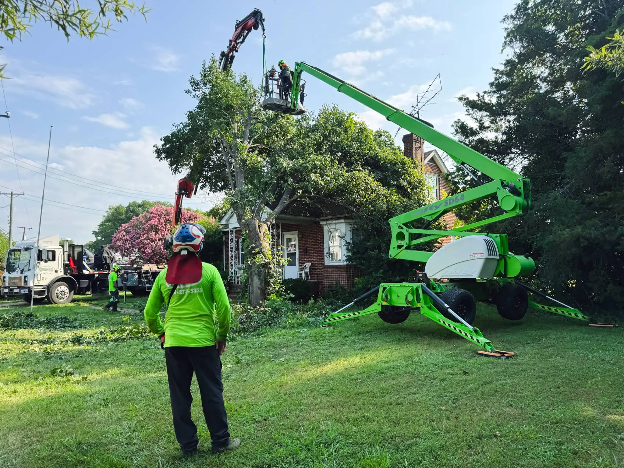 Tree Falls on Your Property? Emergency Tree Removal Guide