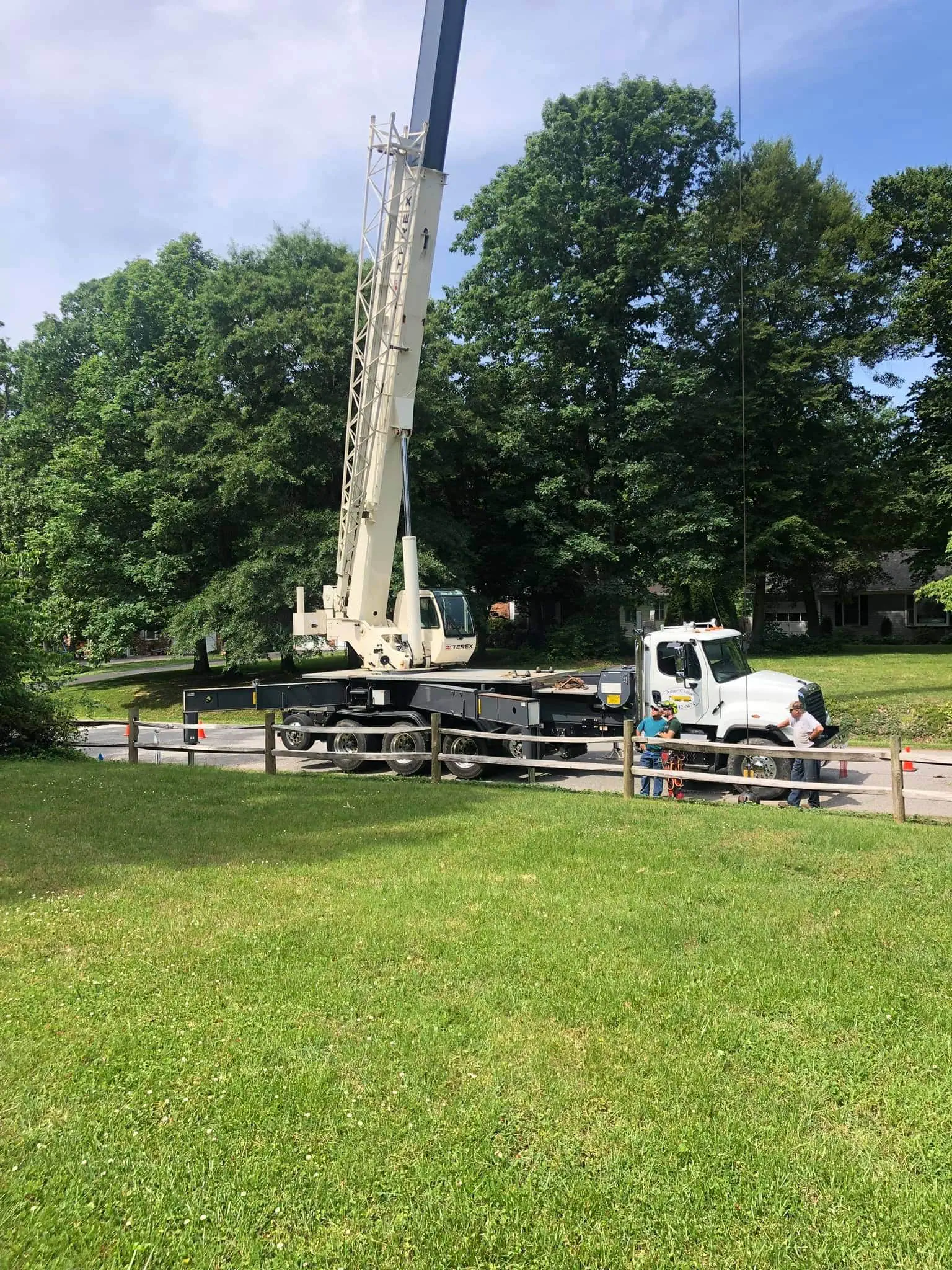 Tree Service in Bowling Green, VA