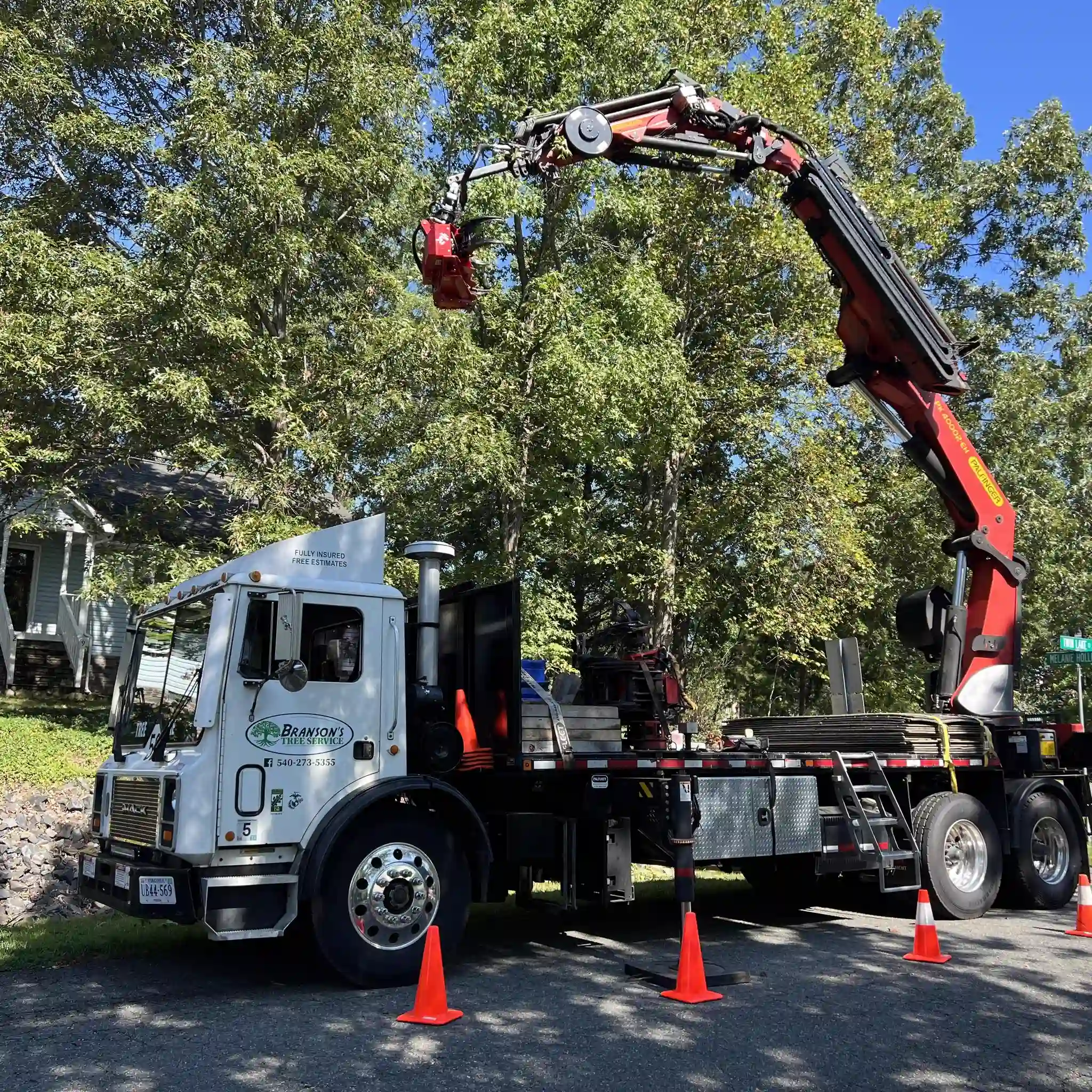 Branson's Tree Service crew removing a large tree in Stafford County, VA